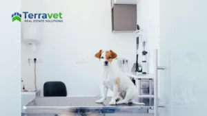 Dog sitting on an examination table at the vets, representing veterinary real estate