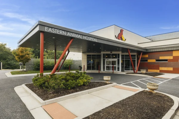 Exterior of Eastern Animal Hospital